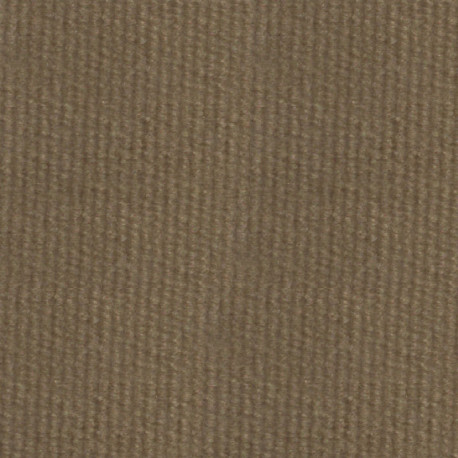 Rollo de Moqueta ferial Deluxe color Arena